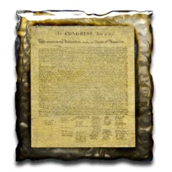 AMD American Liquid Metal - Declaration Of Independence Sign Signs