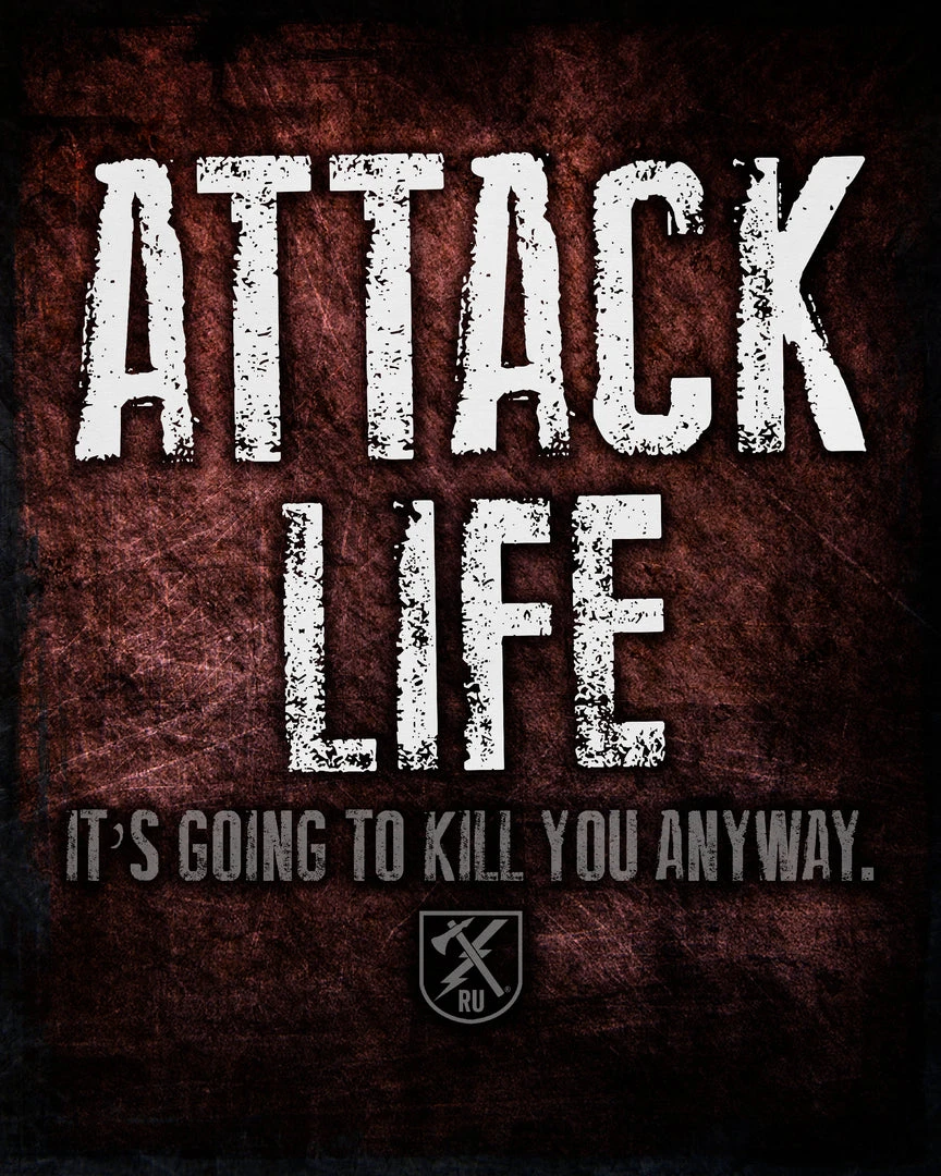 PTS Attack Life Vintage Tin Sign Signs 3 PTS Attack Life Vintage Tin Sign Signs