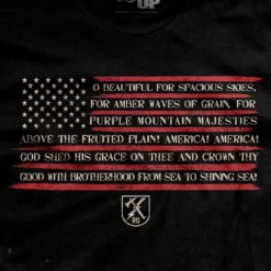 Ohio America The Beautiful T-Shirt