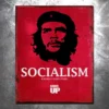 PTS Socialism Is Stupid Vintage Tin Sign