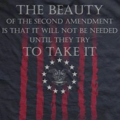 Ohio Beauty Of The Second Amendment T-Shirt