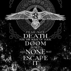 Ohio Viking Warrior Black Raven Poster